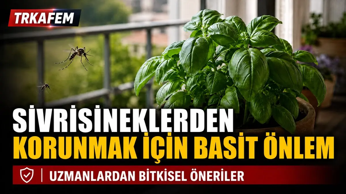 sivrisineklerden korunmak için bitkisel tavsiyeler